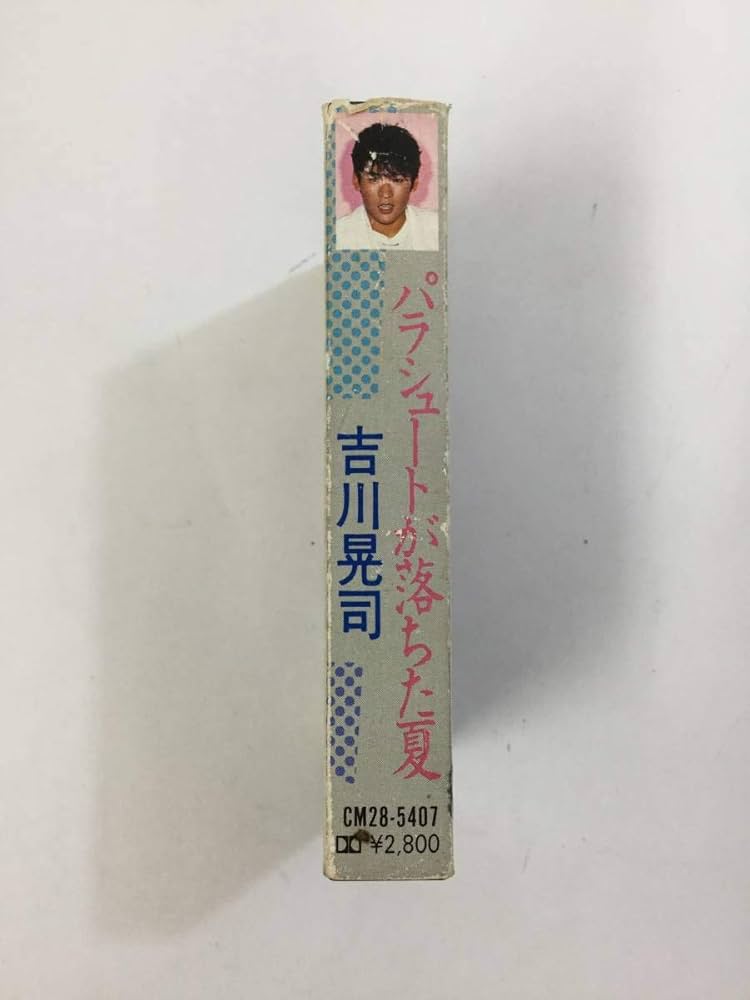 チャプターブック13冊セット (バラ売り不可) チャプターブック13冊セット (バラ売り不可)
