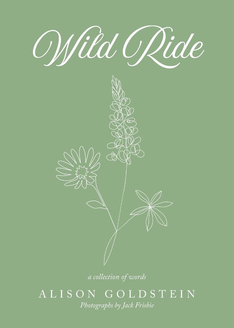 Wild Ride Paperback – June 30, 2022