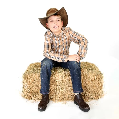 Realistic Large Hay Bale 32x16x16in with Real Straw – Supports 20...