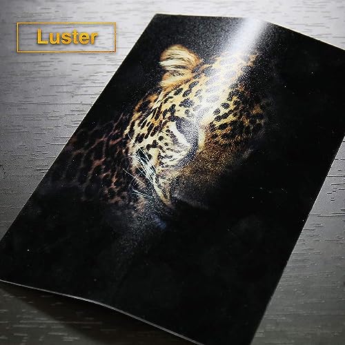 Image of BIGFALCON Premium 260 GSM 4R Size (4X6 inch) Matt (Luster) RC Resin Coated Waterproof Inkjet Photo Paper 50 Sheets for all Inkjet Printer (Pack of 1)