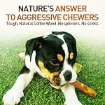 Wildfang® Olive Wood Chewing Sticks for Dogs, M – Tough Chew Toys for Aggressive Chewers, Puppy Chew Toys for Teething, Training for Chewing Muscles, Olive Wood Stick for Dogs 15–25 kg (Pack of 1)