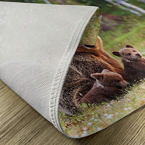 Lunarable Nature Place Mats Set Of 4, Wild Mother Grizzly Bear Protecting Her In Forest Jungle Animal Print, Washable Fabric Placemats For Dining Table, Standard Size, Green Brown #TOP4