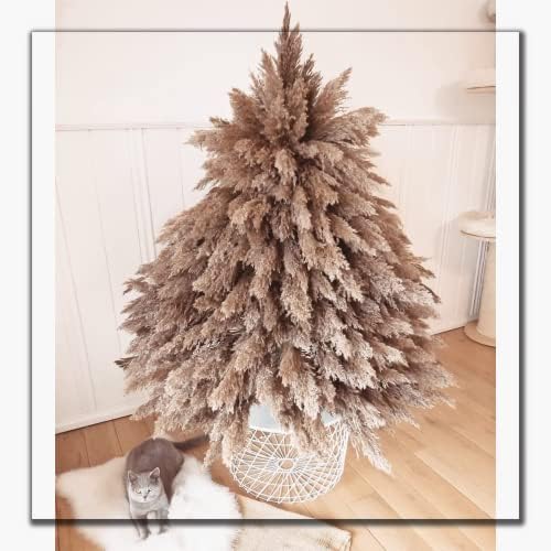 GOALS 20 Pcs Fluffy Pampas Grass 60 cm Tall Brown Dry Boho Room Decor Natural Pampa Bouquet Wedding Fall Home Decoration (Brown, 60 cm Tall)