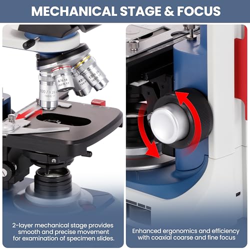 Image of AmScope B120C-R 40X-2500X USB-C Rechargeable Battery-Powered Student Binocular Compound Microscope w /3D Two-Layer Mechanical Stage, Achromatic Objectives, & LED Illuminator