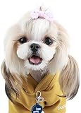 Puppia PAQD-TS1458-YW-M U-Pup Maglioncino per Cane, M, Giallo