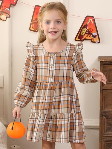 Toddler Baby Girls Dress Plaid Ruffle Flannel Long Sleeve Button Zip A-Line Tiered Dress Fall Winter Outfits3