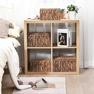 FairyHaus Wicker Basket with Lid & Handle 2Pack, Brown Wicker Storage Basket for Organizing, Natural Water Hyacinth Wicker Storage Basket with Lid 13"x10"x7" & 11.2"x8.3"x5.7" FairyHaus Wicker Basket with Lid Handle 2Pack Brown Wicker Storage Basket for Organizing Natural Water Hyacinth Wicker Storage Basket with Lid 13x10x7 112x83x57