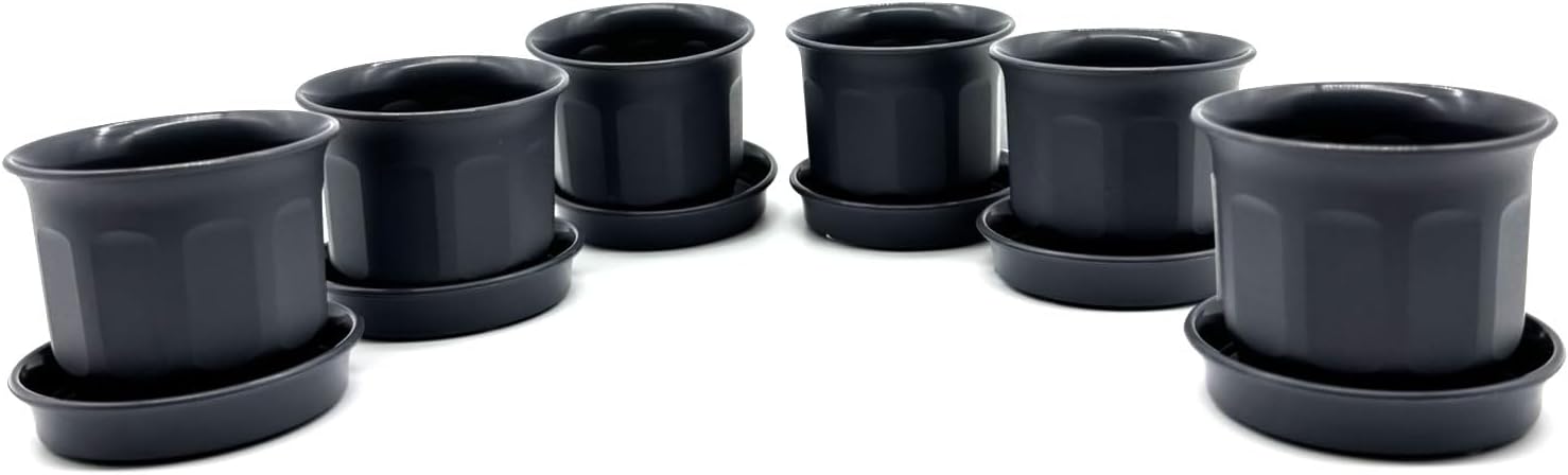 Kimmel Flower Pot 6 cm Plant Pot Mini with Saucer Set of 6 Grey