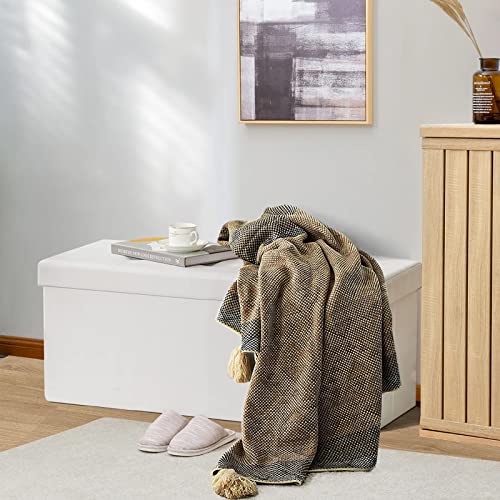 Frixovel Coffre de Rangement, Ottoman avec Espace de Stockage, Banc de Rangement Intérieur Repose-Pieds,pour Salon, Chambre, Entrée(Blanc, 76x38x38cm)