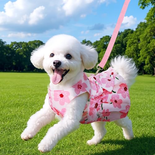 Hundekleid für weibliche Kleine Hunde,Hund Kleider Geschirr und Leine,Dog Kleid für kleine Hunde,Sommerkleid für small Haustiere,Mädchen-Hundekleid für Kleine,Mittelgroße Haustiere (L)