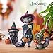 Enesco Jim Shore Heartwood Creek Halloween Raccoon Figurine, 5.9 Inch, Multicolor