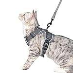 Cat Harness and Leash Set Escape Proof Tactical Extra Large Kitten Harness Emotional Support Cat Vest, Grey, XL