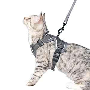 Cat Harness and Leash Set Escape Proof Tactical Extra Large Kitten Harness Emotional Support Cat Vest, Grey, XL