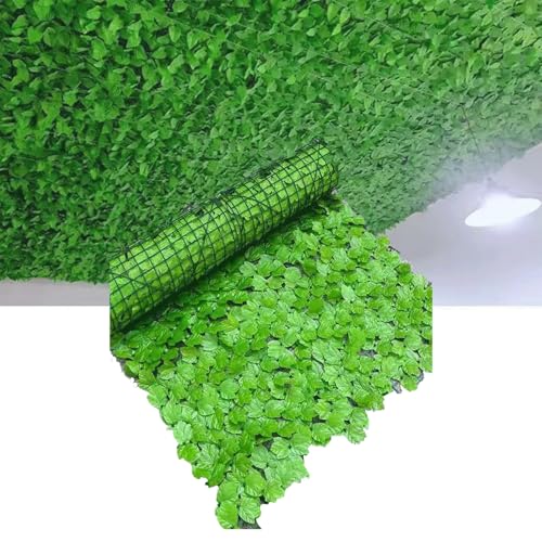 lHACr[vCoV[tFXXN[ O[tFX ΂̃J[e [ttFX lHA AtFX Ηt tFCNO[ ډB vCoV[tFXO 邢F̃JGf̗tA1x2m