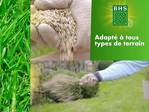 Gazon rustique BHS pour un jardin familial résistant de 200m² - 5