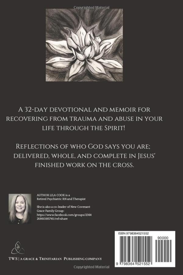 Miniatura 2 de From Ashes to Beauty Recovering From Trauma Through the Spirit