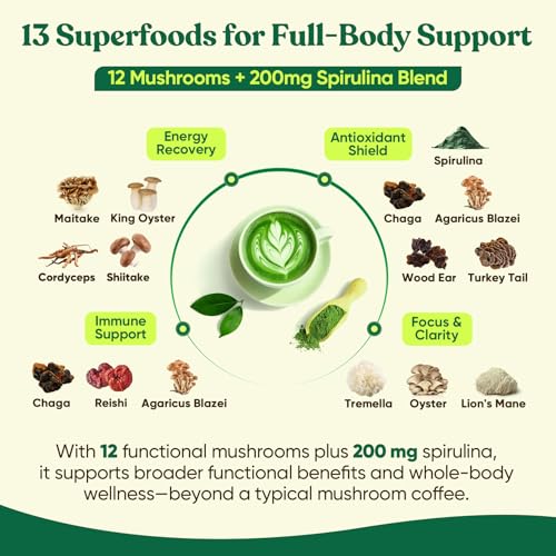 Venture Pal Ceremonial Grade Matcha with Mushrooms