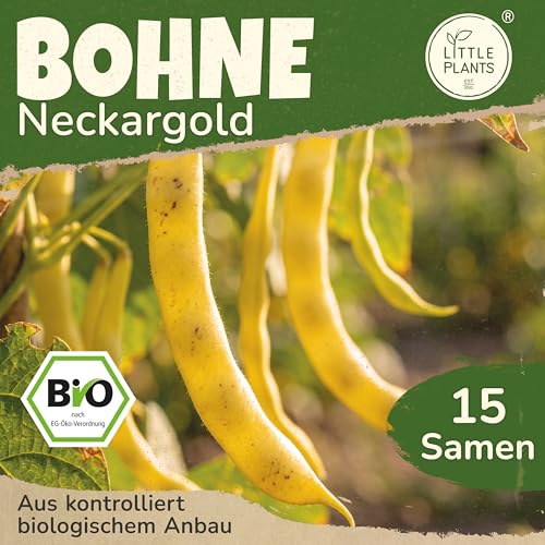 Little Plants BIO Stangenbohne Samen 15 Bohnensamen Neckargold Gelb Gemüsesamen Gemüsesaatgut Samenfest für Gemüsegarten Hochbeet Küche Balkon und Garten
