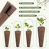 Seewaazee 79 PCS Hydroponic Indoor Seed Pods, Growing System Kit for Aerogarden & Other Brands - Seed Starter, Growing Herb Pods Kit with 24 Grow Sponges, 12 Baskets, 12 Domes, 30 Labels & 1 Tweezer #2