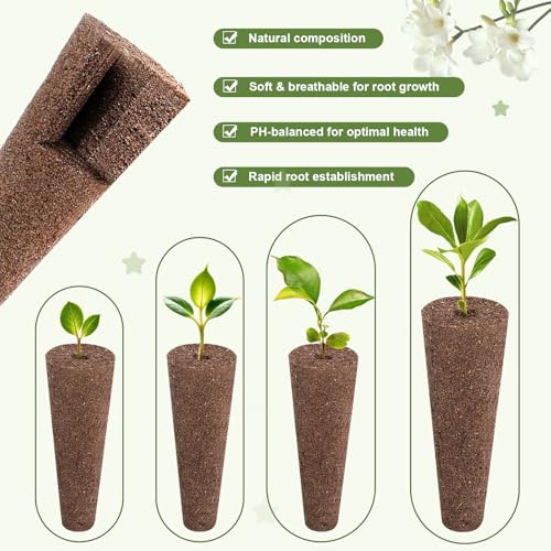 Image of 79 PCS Hydroponic Indoor Seed Pods, Growing System Kit for Aerogarden & Other Brands - Seed Starter, Growing Herb Pods Kit with 24 Grow Sponges, 12 Baskets, 12 Domes, 30 Labels & 1 Tweezer
