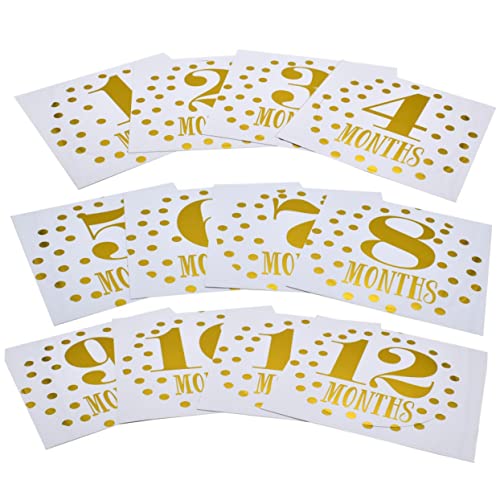 Ipetboom 12Vp L^XebJ[ ʐ^Bepf hH zCd