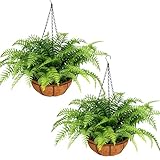 Photo Gallery pabrey felce finta, confezione da 2 piante artificiali da appendere, resistenti ai raggi uv, per veranda e giardino Photo Gallery pabrey felce finta, confezione da 2 piante artificiali da appendere, resistenti ai raggi uv, per veranda e giardino