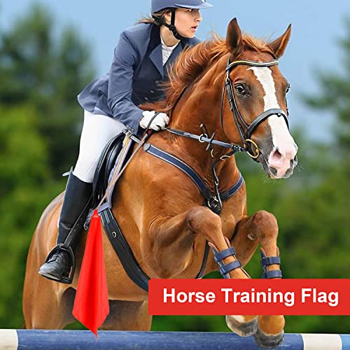 Gaitwin Horse Training Flag Equipment 10 Pcs With 2 Pcs Telescopic Flag Pole Lunge Whip Stick For Horsemanship Supplies - Upgrade Stitched Loop Design #TOP6