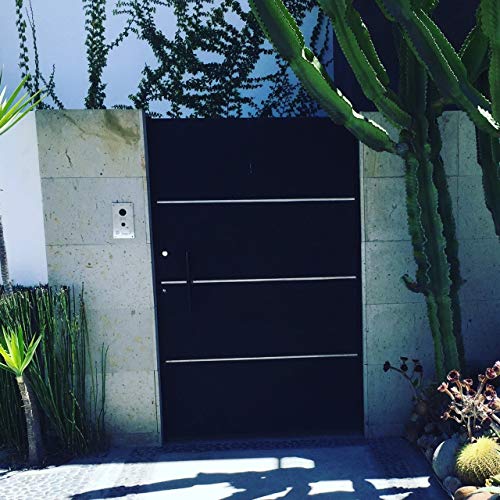 Doorbird Wifi Video Doorbell D101S, Strato Silver Edition #TOP5