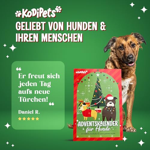 Für Ihren Hund Nur Das Beste - 8 Echte Fleischleckereien im Adventskalender – Glutenfrei & Weizenfrei – Nur Dieses Jahr Erhältlich, Lamm, Huhn, Lachs, Fisch, Kodipets