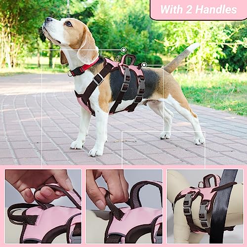 LiebeDD Hundegeschirr für Kleine Mittelgroße Hunde Welpen Geschirr, Anti Zug Geschirr Hund Sicherheitsgeschirr Ausbruchsicher, Panikgeschirr für Hunde Zuggeschirr Hund, Rosa, S