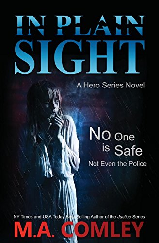 In Plain Sight view 2