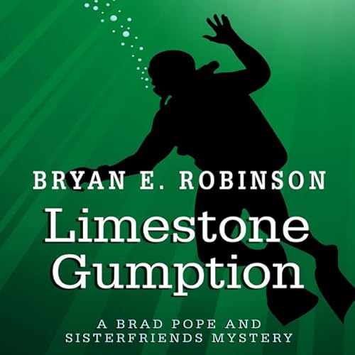 Limestone Gumption Audiolivro Por Bryan E. Robinson capa