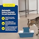 PetSafe Drinkwell Pagoda Pet Fountain,70 oz/ 2L Capacity,Elevated Indoor Ceramic Cat Fountain, 2 Levels of Free-Falling Streams, Included Carbon & Foam Filter Provide Fresh Water with Every Sip, Blue