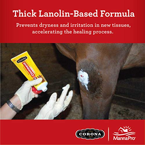 Corona Horse Ointment 14oz Multi-Purpose Relief with Lanolin for Horses | Soothing Relief for Hooves, Skin, Joints, and Muscle Care - Image 5