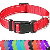 Taglory Reflective Adjustable Dog Collars for Puppy Small Medium Large Dogs, Thin Nylon Webbing and Quick Release Plastic Buckle(Red, XSmall)