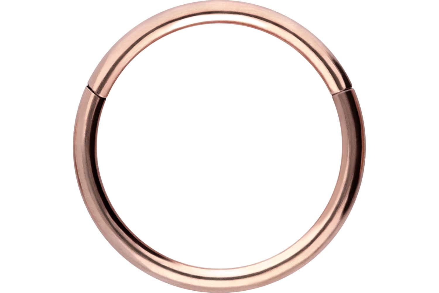 PIERCINGLINE Anillo segmento Clicker de acero quirúrgico – Piercing en oro, plata, rosa, negro o azul – para nariz, tabique, oreja, hélice o tragus — view 28