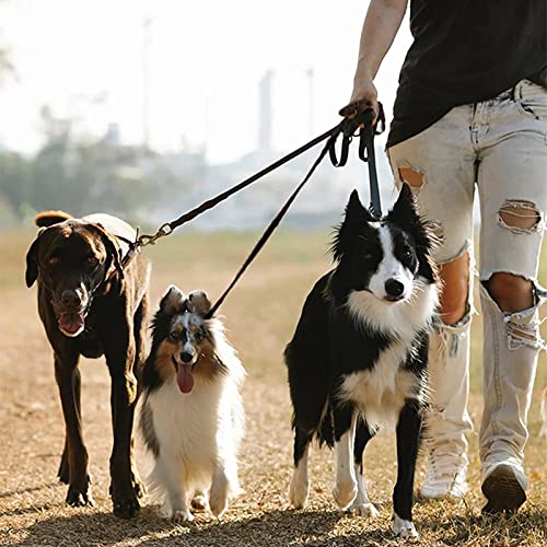 Leine für 3 Hunde, 3-𝒊𝒏-1 Welpenleine Hundeleine Leine, Hundeleine Nylon Kleine Hunde, Koppelleine Hundeleine Flexi, 𝑽𝒆𝒓𝒔𝒕𝒆𝒍𝒍𝒃𝒂𝒓 53-88cm, für Kleine MittelgroßE Katzen