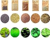 Mysteryhigh 5 Aquarium Plants S.e.e.d Set, not Artifical, Fish Tank Decor Replacement for Resin or Plastic Grass