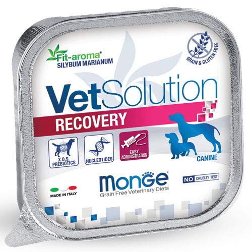 all4pets Vet Solution Canine - Recovery-150gms(Dietetic Food for Dogs) (B07KQ9NX5C) Amazon Price History, Amazon Price Tracker