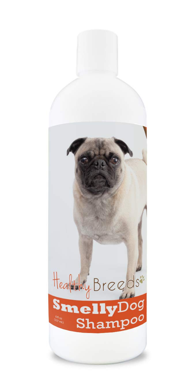 What Shampoo Is Good For Pugs
