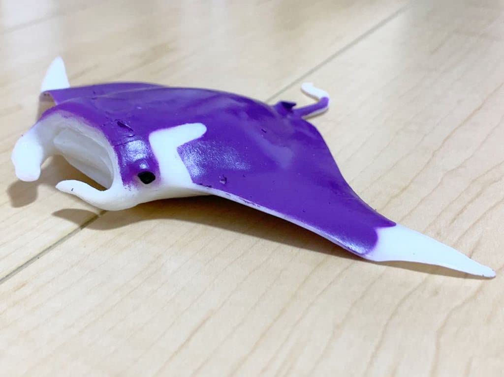 Amazon.co.jp: くじら&Co. WHALES&Co. ビッグ オニイトマキエイ