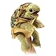 Folkmanis Standing Tortoise Hand Puppet 3156 Multi-Coloured