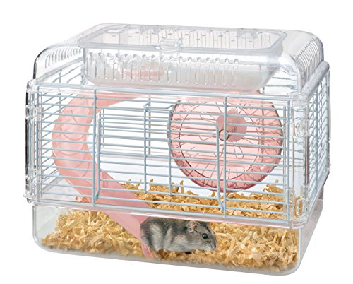 y݌Ɍ/[J[IzWFbNX nL[gpX TNsN h[tnX^[AWKA MTCY (1)