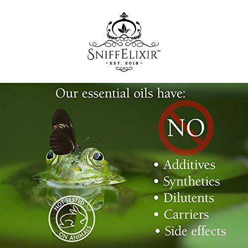 Immune Support & Defense Aromatherapy Nasal Inhaler - Preventative & Immune System Booster For Respiratory Care | Undiluted Organic Essential Oil Wellness Blend For Immunity Support & Prevention #TOP3