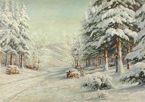 Póster Paisaje Winterlandschaft di Bruno Moras Cuadro Decoración Pared 60x90cm