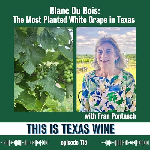 Blanc Du Bois: The Most Planted White Grape Variety in Texas with Fran Pontasch