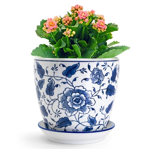 HakkaGirl 8 inch Ceramic Planters for Indoor Plants Chinoiserie Decor Ceramic Pots for Plants Flower Plant Pots Indoor with Drainage and Saucer Blue and White