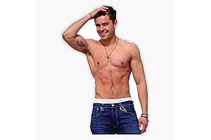 Zac Efron Waterproof Window Stickers