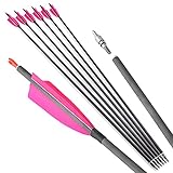ZSHJGJR Archery 35' Carbon Arrow Hunting Arrows Pink True Feather Carbon Arrow with 3 Pieces of 4-Inch Feathers Targeting Practice Arrows Spine 400 for Recurve Bow Longbow Traditional Bow (12PCS)