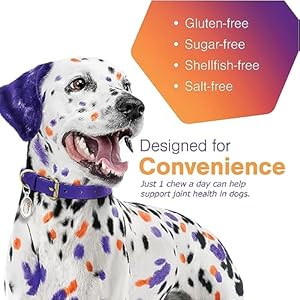 Joint-Support-Supplement-for-Dogs-Hip-and-Joint-Support-Dog-Joint-Supplement-Hip-and-Joint-Supplement-Dogs-120-Soft-Chews-for-Large-Dogs-By-Virbac - Cucciolini Doodles Joint-Support-Supplement-for-Dogs-Hip-and-Joint-Support-Dog-Joint-Supplement-Hip-and-Joint-Supplement-Dogs-120-Soft-Chews-for-Large-Dogs-By-Virbac